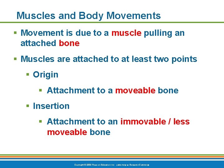 Muscles and Body Movements § Movement is due to a muscle pulling an attached