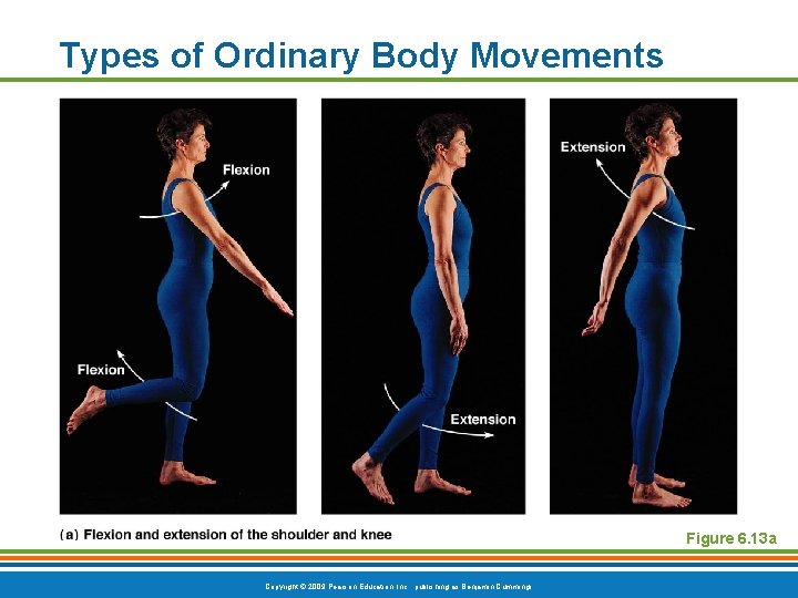 Types of Ordinary Body Movements Figure 6. 13 a Copyright © 2009 Pearson Education,