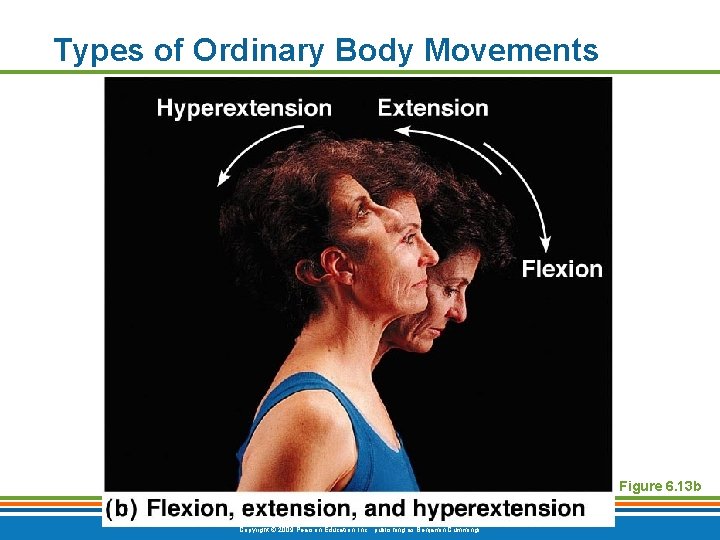 Types of Ordinary Body Movements Figure 6. 13 b Copyright © 2009 Pearson Education,