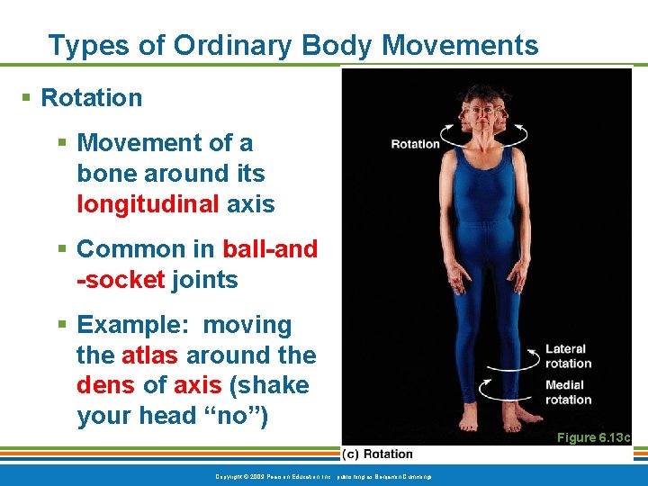 Types of Ordinary Body Movements § Rotation § Movement of a bone around its