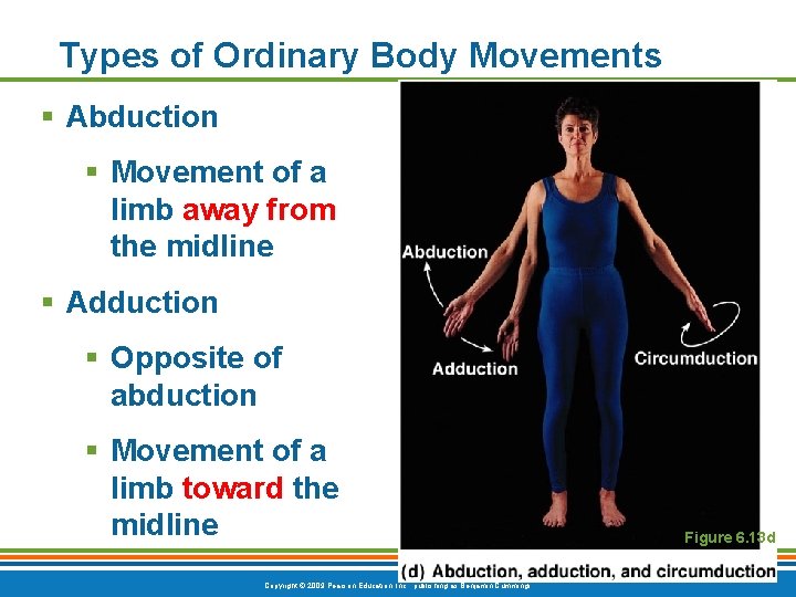 Types of Ordinary Body Movements § Abduction § Movement of a limb away from