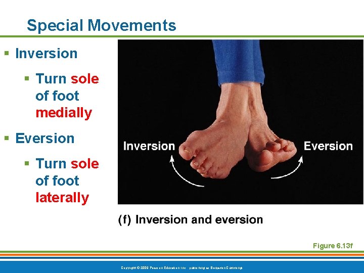 Special Movements § Inversion § Turn sole of foot medially § Eversion § Turn
