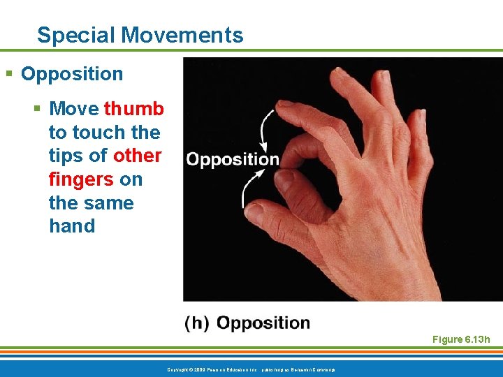 Special Movements § Opposition § Move thumb to touch the tips of other fingers