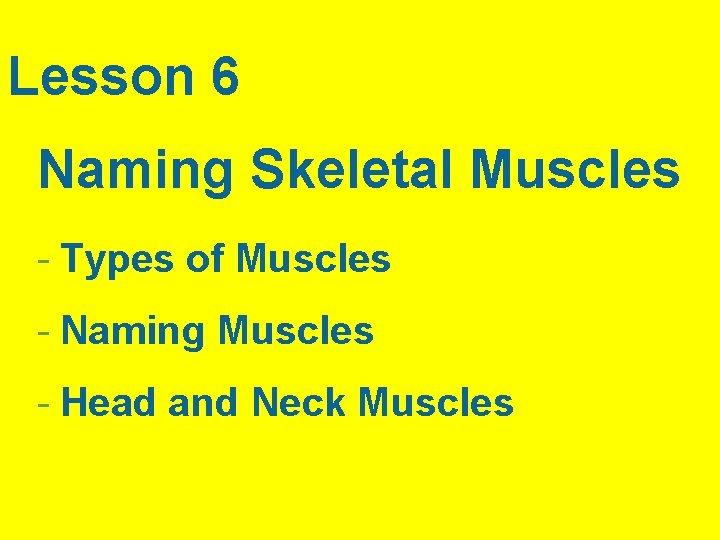 Lesson 6 Naming Skeletal Muscles - Types of Muscles - Naming Muscles - Head