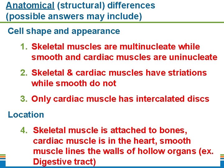 Anatomical (structural) differences (possible answers may include) Cell shape and appearance 1. Skeletal muscles