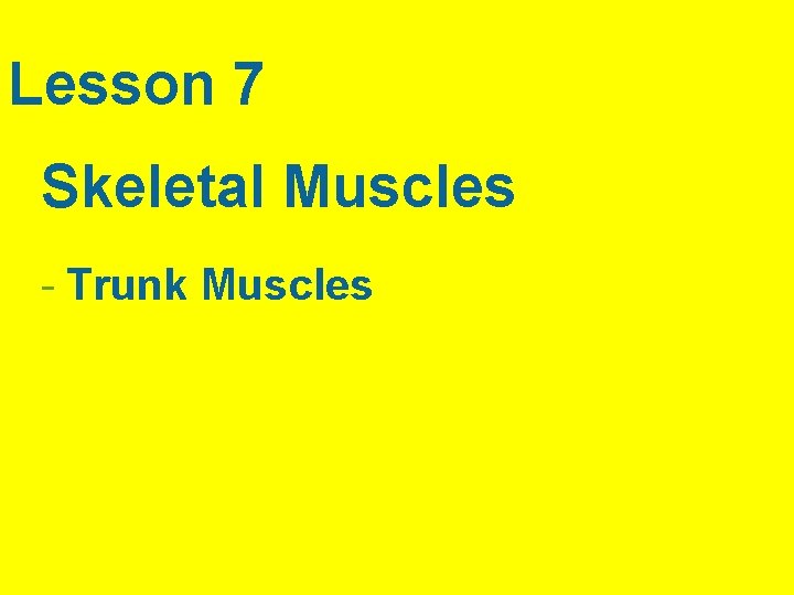 Lesson 7 Skeletal Muscles - Trunk Muscles 