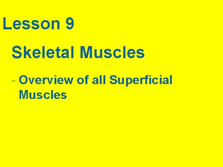 Lesson 9 Skeletal Muscles - Overview of all Superficial Muscles 