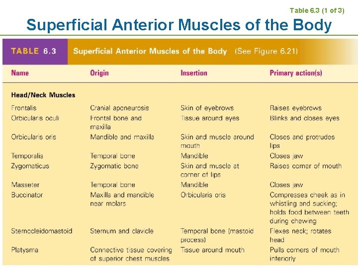 Table 6. 3 (1 of 3) Superficial Anterior Muscles of the Body Copyright ©