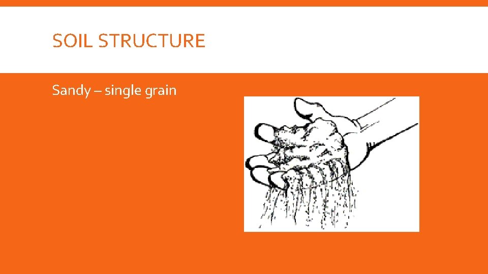 SOIL STRUCTURE Sandy – single grain 