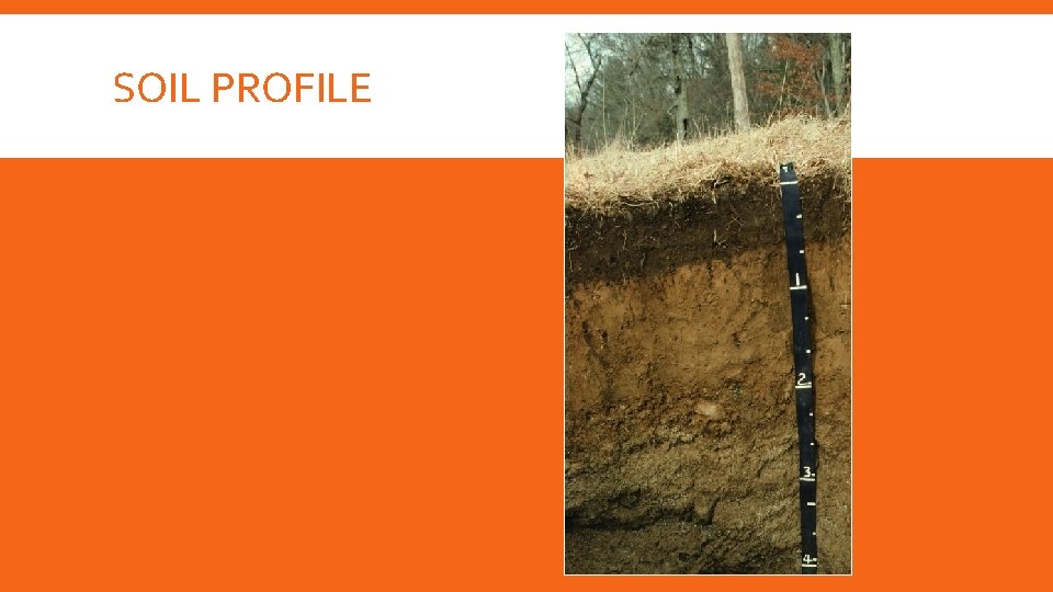 SOIL PROFILE 