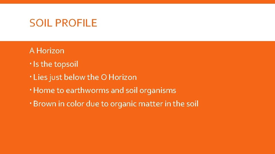 SOIL PROFILE A Horizon Is the topsoil Lies just below the O Horizon Home