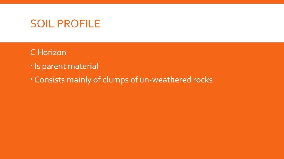 SOIL PROFILE C Horizon Is parent material Consists mainly of clumps of un-weathered rocks