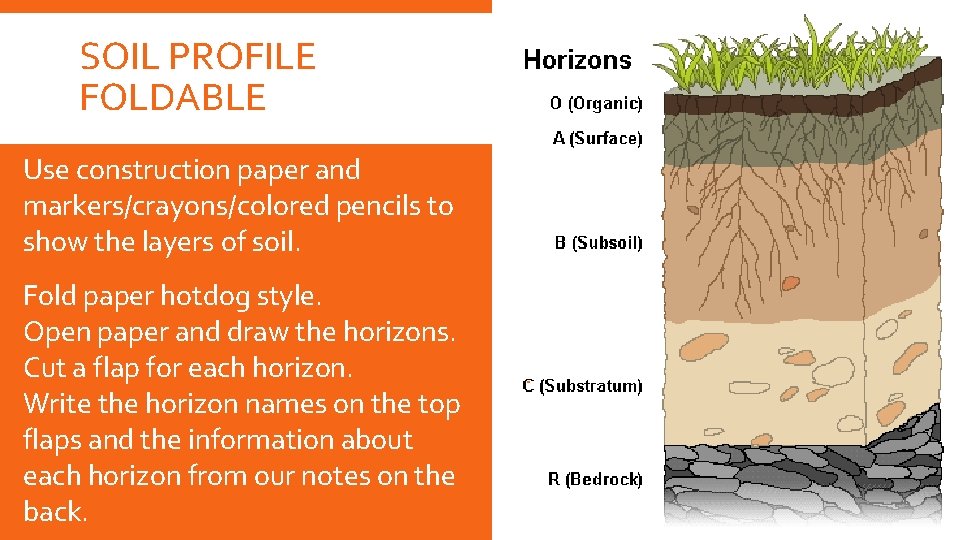 SOIL PROFILE FOLDABLE Use construction paper and markers/crayons/colored pencils to show the layers of