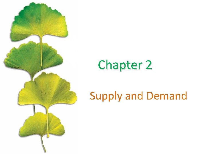 Chapter 2 Supply and Demand 