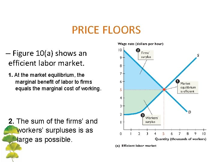 PRICE FLOORS – Figure 10(a) shows an efficient labor market. 1. At the market