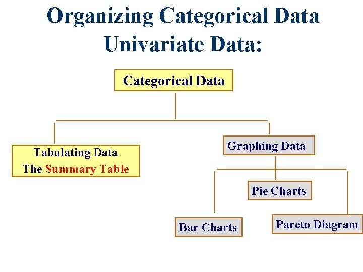Organizing Categorical Data Univariate Data: Categorical Data Tabulating Data The Summary Table Graphing Data Organizing Categorical Data Univariate Data: Categorical Data Tabulating Data The Summary Table Graphing Data