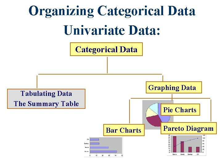 Organizing Categorical Data Univariate Data: Categorical Data Graphing Data Tabulating Data The Summary Table Organizing Categorical Data Univariate Data: Categorical Data Graphing Data Tabulating Data The Summary Table