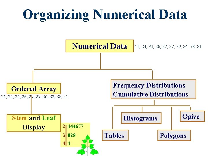 Organizing Numerical Data Ordered Array 21, 24, 26, 27, 30, 32, 38, 41 Stem Organizing Numerical Data Ordered Array 21, 24, 26, 27, 30, 32, 38, 41 Stem