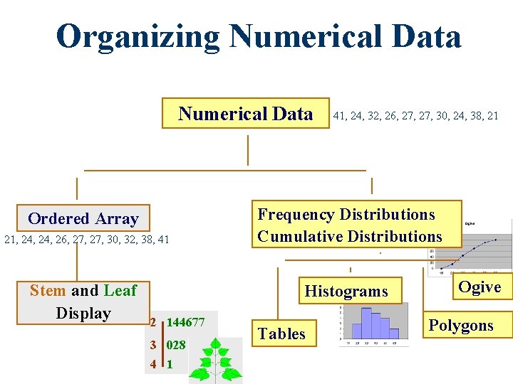 Organizing Numerical Data Ordered Array 21, 24, 26, 27, 30, 32, 38, 41 Stem Organizing Numerical Data Ordered Array 21, 24, 26, 27, 30, 32, 38, 41 Stem