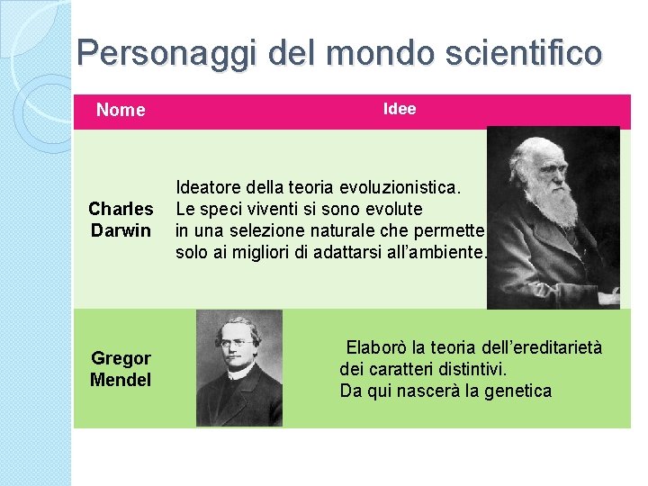 Personaggi del mondo scientifico Nome Charles Darwin Gregor Mendel Idee Ideatore della teoria evoluzionistica.