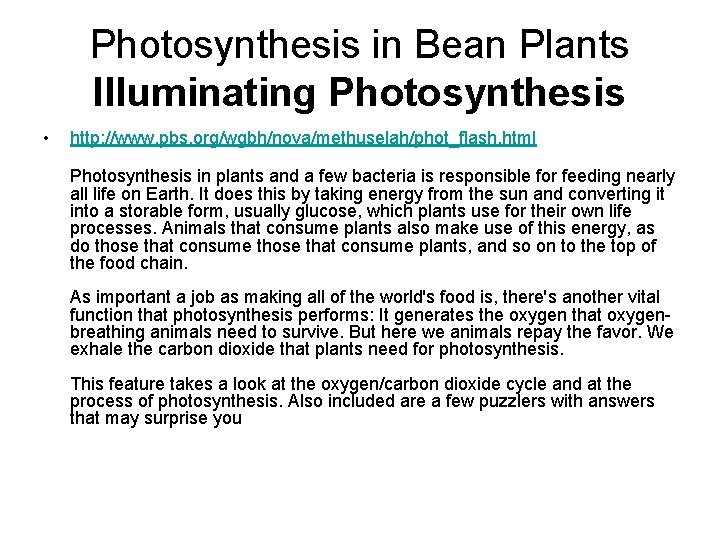 Photosynthesis in Bean Plants Illuminating Photosynthesis • http: //www. pbs. org/wgbh/nova/methuselah/phot_flash. html Photosynthesis in