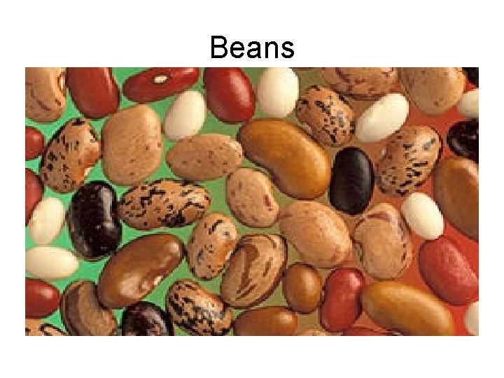 Beans 