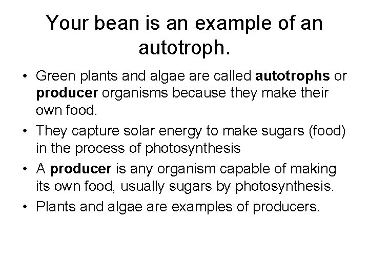 Your bean is an example of an autotroph. • Green plants and algae are