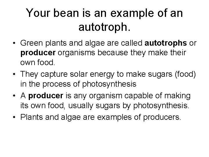 Your bean is an example of an autotroph. • Green plants and algae are