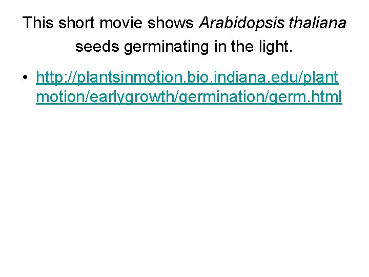 This short movie shows Arabidopsis thaliana seeds germinating in the light. • http: //plantsinmotion.