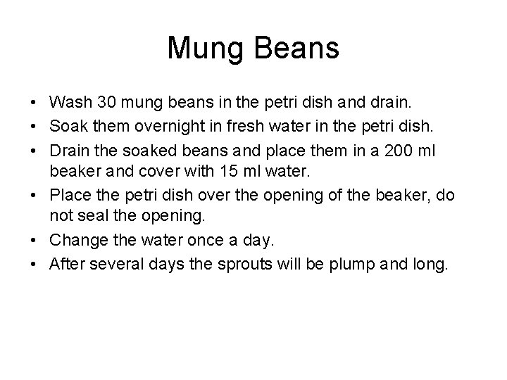 Mung Beans • Wash 30 mung beans in the petri dish and drain. •