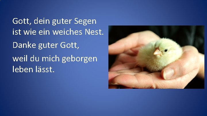 Gott, dein guter Segen ist wie ein weiches Nest. Danke guter Gott, weil du Gott, dein guter Segen ist wie ein weiches Nest. Danke guter Gott, weil du