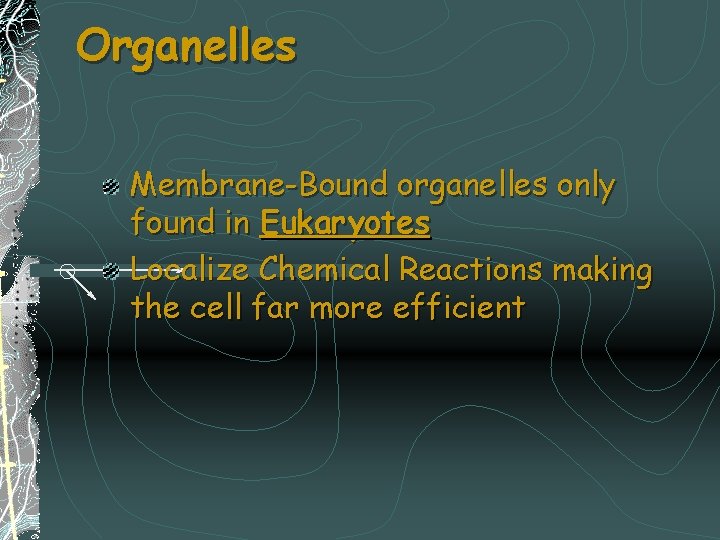 Organelles Membrane-Bound organelles only found in Eukaryotes Localize Chemical Reactions making the cell far