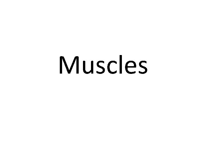 Muscles 
