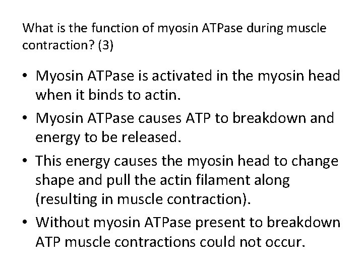 What is the function of myosin ATPase during muscle contraction? (3) • Myosin ATPase