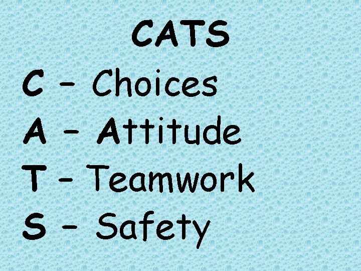 CATS C – Choices A – Attitude T – Teamwork S – Safety 