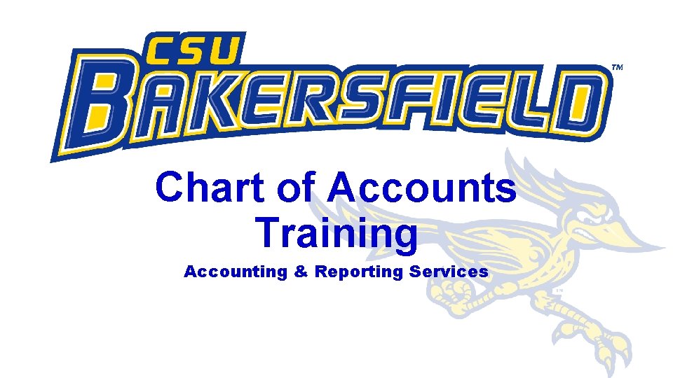 Chart of Accounts Training Accounting & Reporting Services 