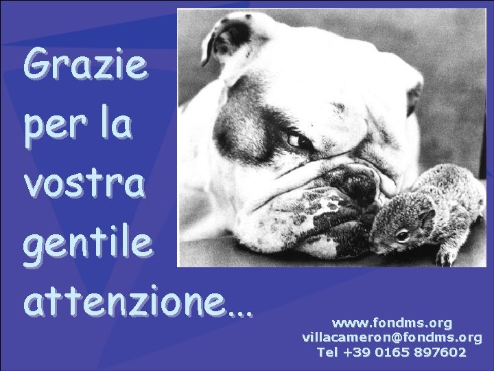 Grazie per la vostra gentile attenzione… www. fondms. org villacameron@fondms. org Tel +39 0165