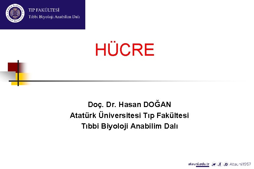 HÜCRE Doç. Dr. Hasan DOĞAN Atatürk Üniversitesi Tıp Fakültesi Tıbbi Biyoloji Anabilim Dalı 