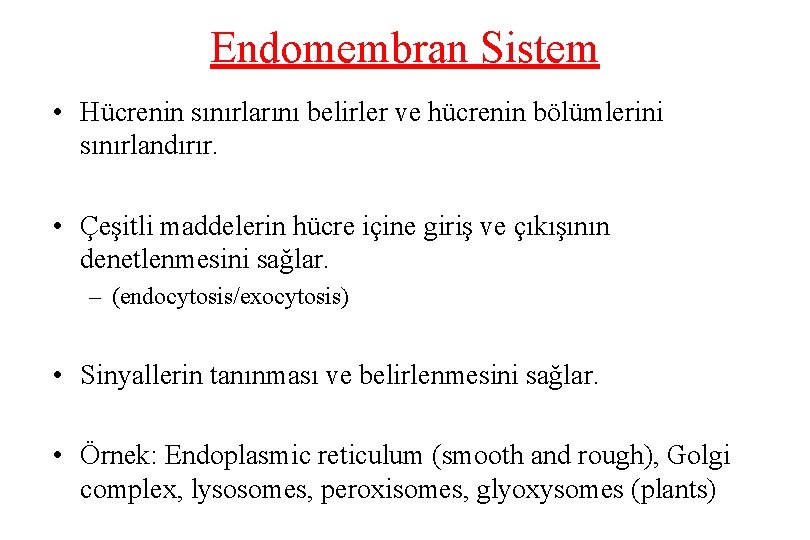 Endomembran Sistem • Hücrenin sınırlarını belirler ve hücrenin bölümlerini sınırlandırır. • Çeşitli maddelerin hücre