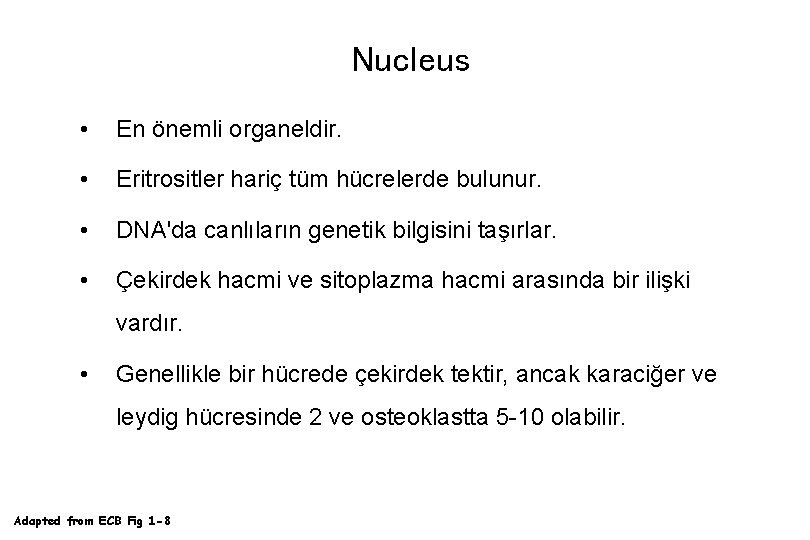 Nucleus • En önemli organeldir. • Eritrositler hariç tüm hücrelerde bulunur. • DNA'da canlıların