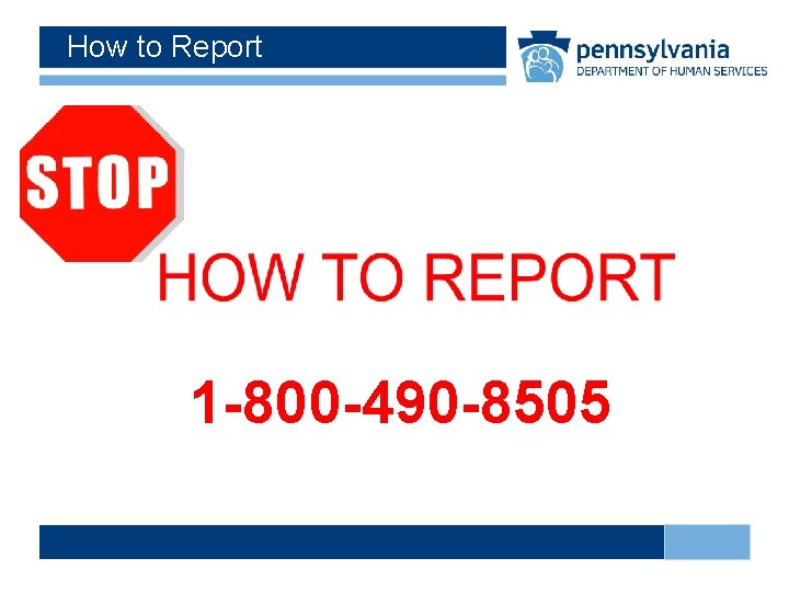 How to Report 1 -800 -490 -8505 