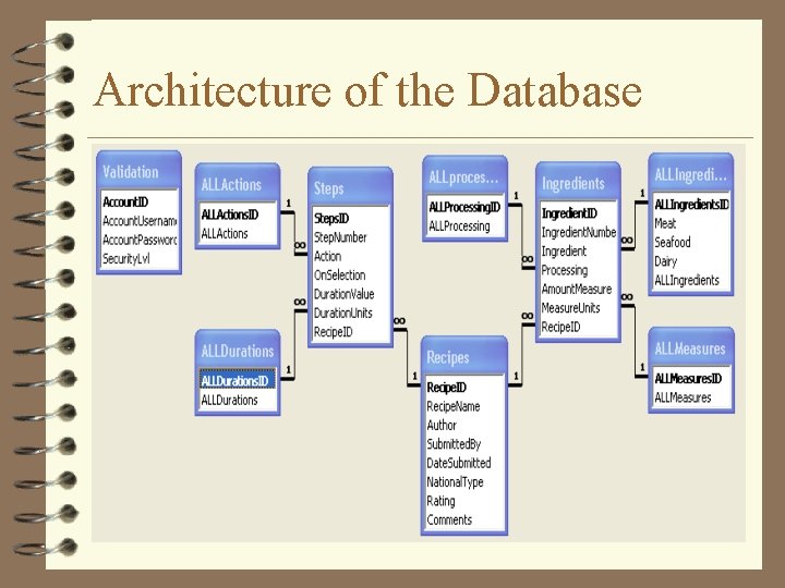 Architecture of the Database 