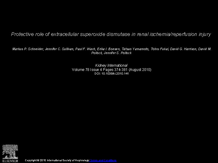 Protective role of extracellular superoxide dismutase in renal ischemia/reperfusion injury Markus P. Schneider, Jennifer