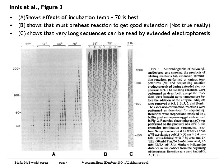 Innis et al. , Figure 3 • (A)Shows effects of incubation temp – 70 Innis et al. , Figure 3 • (A)Shows effects of incubation temp – 70