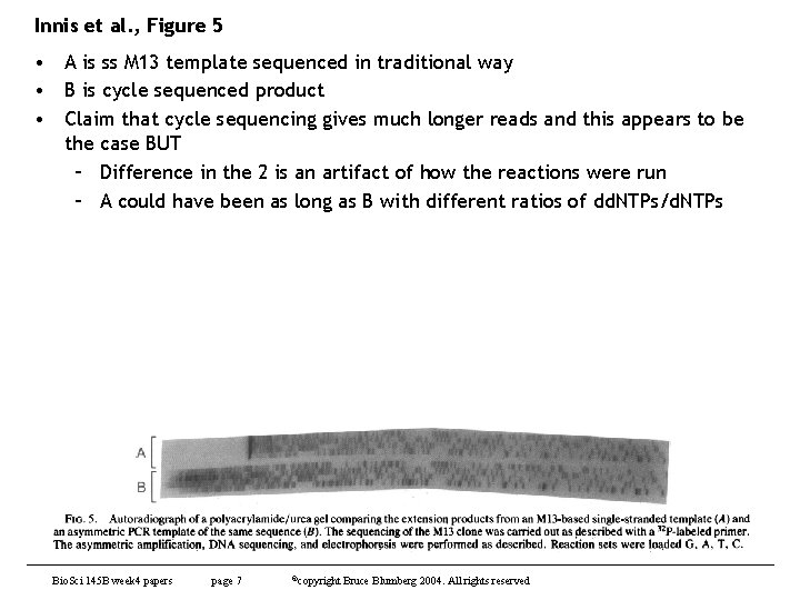 Innis et al. , Figure 5 • A is ss M 13 template sequenced Innis et al. , Figure 5 • A is ss M 13 template sequenced