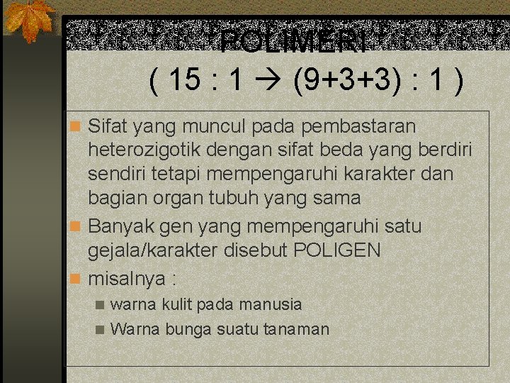 POLIMERI ( 15 : 1 (9+3+3) : 1 ) n Sifat yang muncul pada