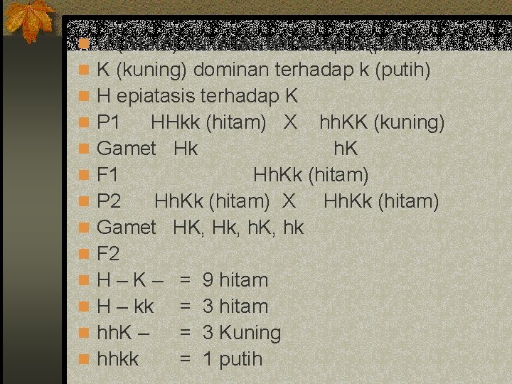 n H (hitam) dominan terhadap h (putih) n K (kuning) dominan terhadap k (putih)