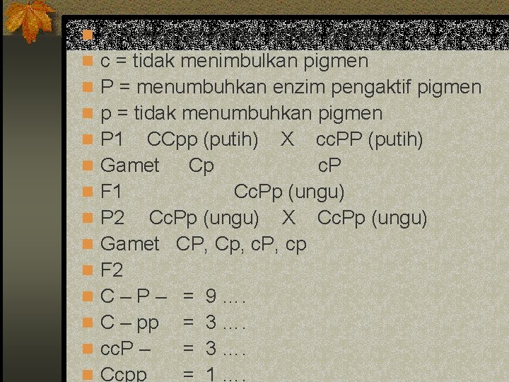 n C = menyebabkan timbul pigmen n c = tidak menimbulkan pigmen n P