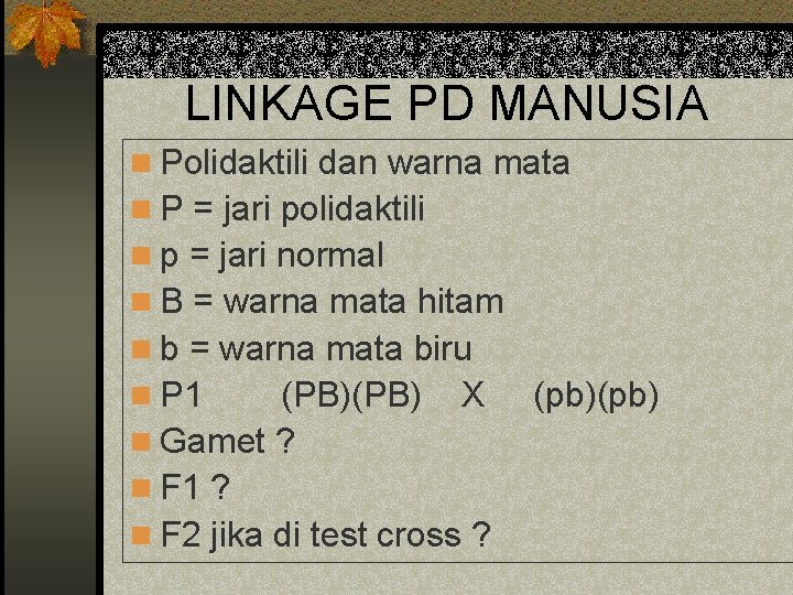 LINKAGE PD MANUSIA n Polidaktili dan warna mata n P = jari polidaktili n