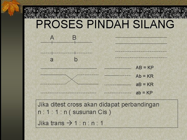 PROSES PINDAH SILANG A B a b AB = KP Ab = KR a.